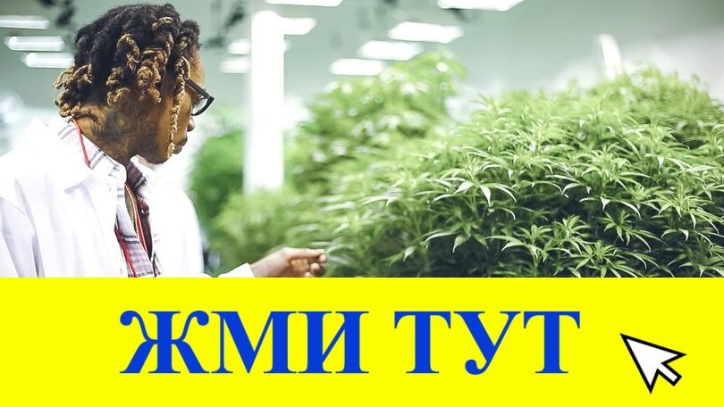 Купить наркотики в Кунгуре